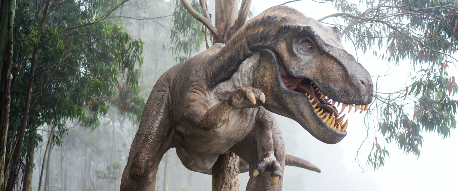 Tyranusaurus rex, med öppen mun