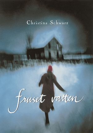 Fruset vatten / Christina Schwarz ; översättning: Kerstin Bergfors