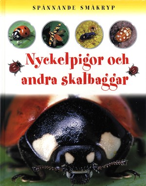 Nyckelpigor och andra skalbaggar / Sally Morgan ; [översättare: Katharina Lyckow Williams]