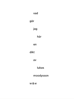 Vad gör jag här : en dikt / av Lukas Moodysson