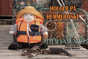 Holger på hummerfiske / text och bild: Ingela Nilsson
