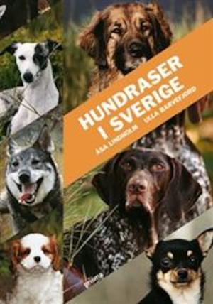 Hundraser i Sverige / Åsa Lindholm, Ulla Barvefjord