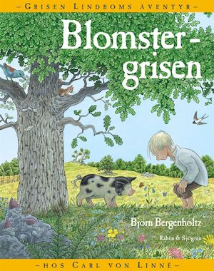 Blomstergrisen : grisen Lindboms äventyr med Carl von Linné / Björn Bergenholtz