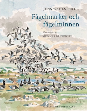 Fågelmarker och fågelminnen / Jens Wahlstedt ; illustrationer av Gunnar Brusewitz