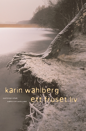 Ett fruset liv / Karin Wahlberg