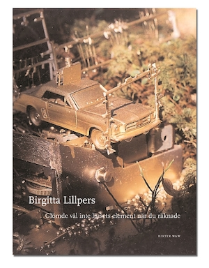 Glömde väl inte ljusets element när du räknade : dikter / Birgitta Lillpers