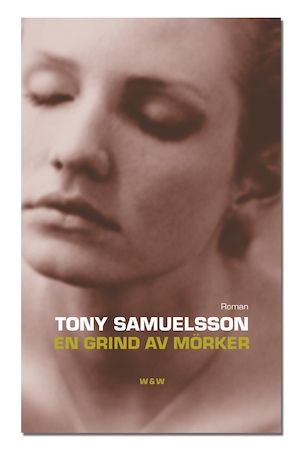 En grind av mörker : roman / Tony Samuelsson