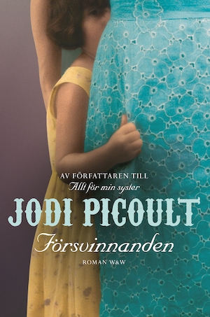 Försvinnanden / Jodi Picoult ; översättning av Anna Sandberg
