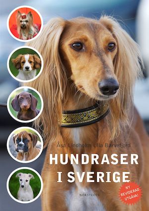 Hundraser i Sverige / Åsa Lindholm, Ulla Barvefjord ; [foto: Åsa Lindholm ...]