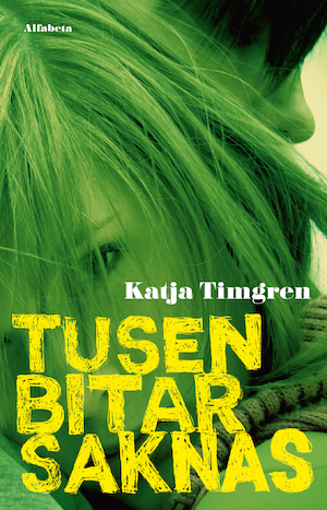 Tusen bitar saknas / Katja Timgren