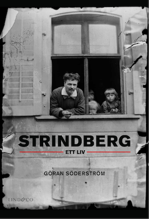 Strindberg : ett liv / Göran Söderström