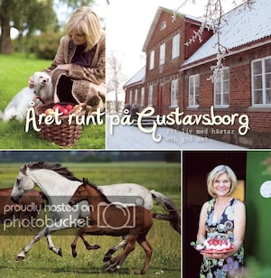 Året runt på Gustavsborg : ett liv med hästar och god mat / text: Ann-Britt Bolinder ; foto: Katrin Nilsson
