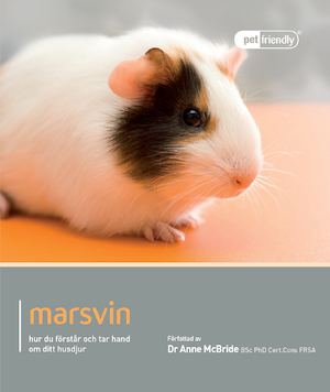 Marsvin : hur du förstår och tar hand om ditt husdjur / författad av Anne McBride