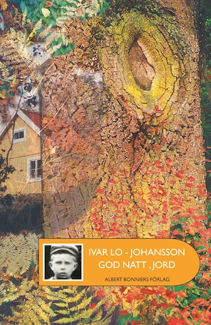 Godnatt, jord / Ivar Lo-Johansson