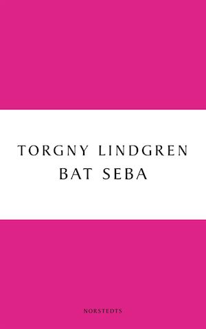 Bat Seba / Torgny Lindgren