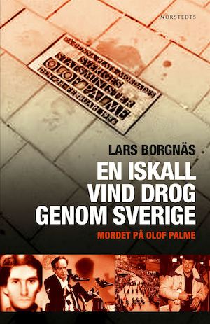 En iskall vind drog genom Sverige : mordet på Olof Palme / Lars Borgnäs