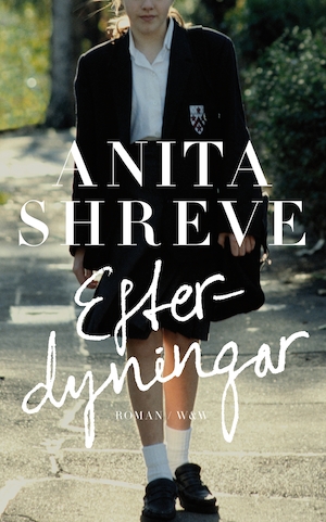Efterdyningar / Anita Shreve ; översättning: Marianne Mattsson