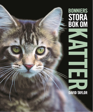 Bonniers stora bok om katter