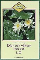 Humlans blomsterbok : barnens första flora / Stefan Casta, Maj Fagerberg