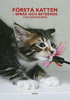 Förstå katten : språk och beteende / Ylva Stockelberg ; [foto: Eivor Rasehorn]