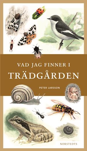 Vad jag finner i trädgården / Peter Larsson ; [fackgranskning: Hans-Håkan Elmquist och Thord Fransson ; illustrationer: Peter Larsson]