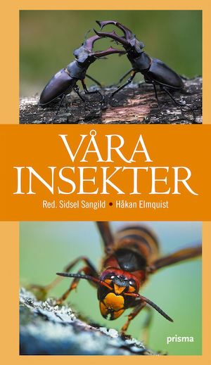 Våra insekter / Rune Bygebjerg ...; huvudredaktör: Sidsel Sangild ; teckningar: Henning Anthon ...; översättning och svensk bearbetning: Håkan och Kicki Elmquist