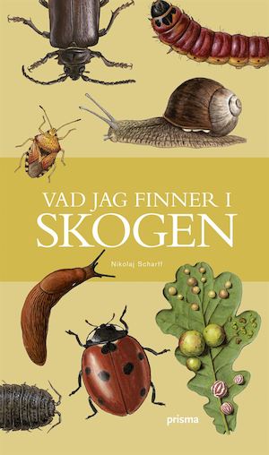 Vad jag finner i skogen / Nikolaj Scharff ; översättning och svensk bearbetning av Håkan och Kicki Elmquist ; teckningar av Henning Anthon