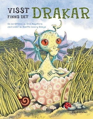 Visst finns det drakar : en berättelse / av Erik Magntorn ; med bilder av Anette Isberg Rozijn