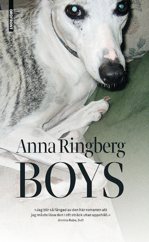 Boys / Anna Ringberg