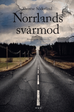 Norrlands svårmod : roman om ett försvinnande / Therése Söderlind