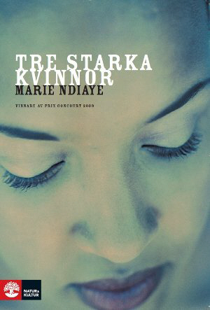 Tre starka kvinnor : roman / Marie NDiaye ; översättning: Ragna Essén