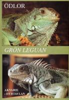 Grön leguan (Iguana Iguana)