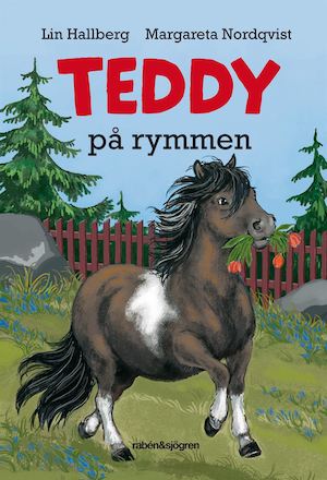 Teddy på rymmen / Lin Hallberg, Margareta Nordqvist