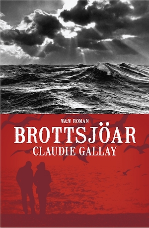 Brottsjöar / Claudie Gallay ; översättning: Britt Arenander