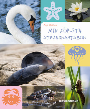 Min första strandkantsbok / Anja Baklien ; illustrationer: Evelina Thörnberg ; [faktagranskare: Lars M. Nilsson]