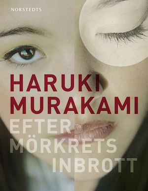 Efter mörkrets inbrott / Haruki Murakami ; översättning från japanska: Vibeke Emond