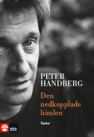 Den nedkopplade himlen : essäer / Peter Handberg