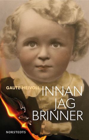 Innan jag brinner / Gaute Heivoll ; översättning: Peter Törnqvist