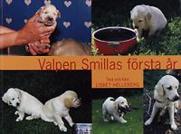 Valpen Smillas första år / text och foto: Lisbet Helleberg