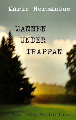 Mannen under trappan : roman / Marie Hermanson