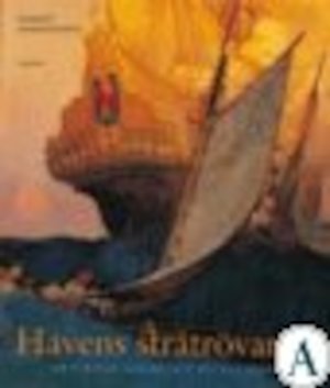 Havens stråtrövare : [om pirater, kapare och buckanjärer] / Robert Hermansson