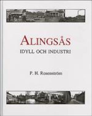 Alingsås - idyll och industri
