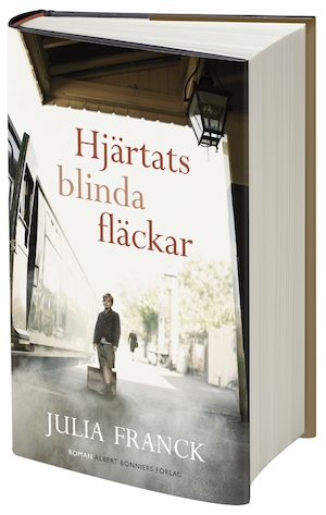 Hjärtats blinda fläckar / Julia Franck ; översättning: Linda Östergaard
