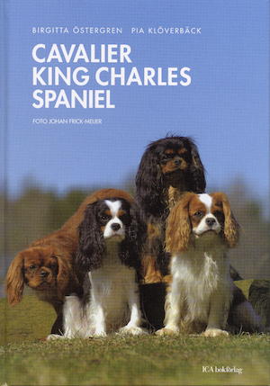 Cavalier King Charles spaniel