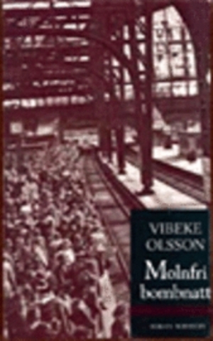 Molnfri bombnatt : roman / Vibeke Olsson