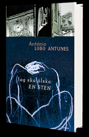 Jag ska älska en sten / António Lobo Antunes ; översättning: Örjan Sjögren