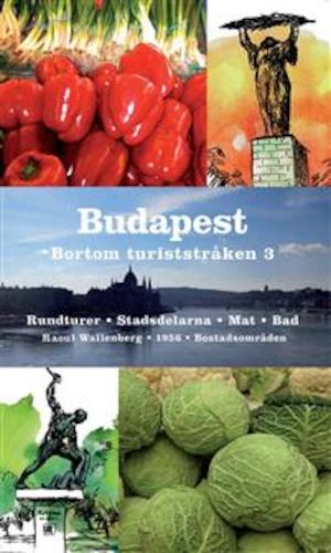 Budapest bortom turiststråken 3
