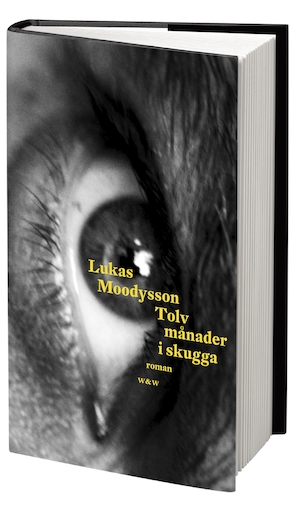 Tolv månader i skugga : roman / Lukas Moodysson