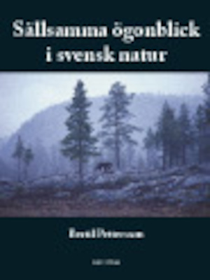 Sällsamma ögonblick i svensk natur
