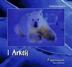 I Arktis